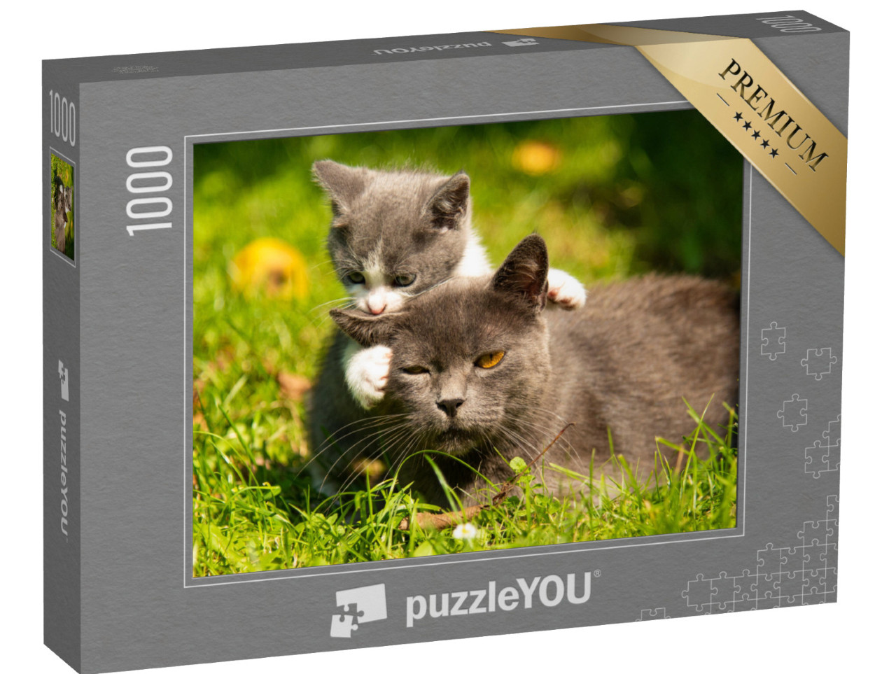 puzzle 1000 dílků „Kočičí matka s malým koťátkem v trávě“