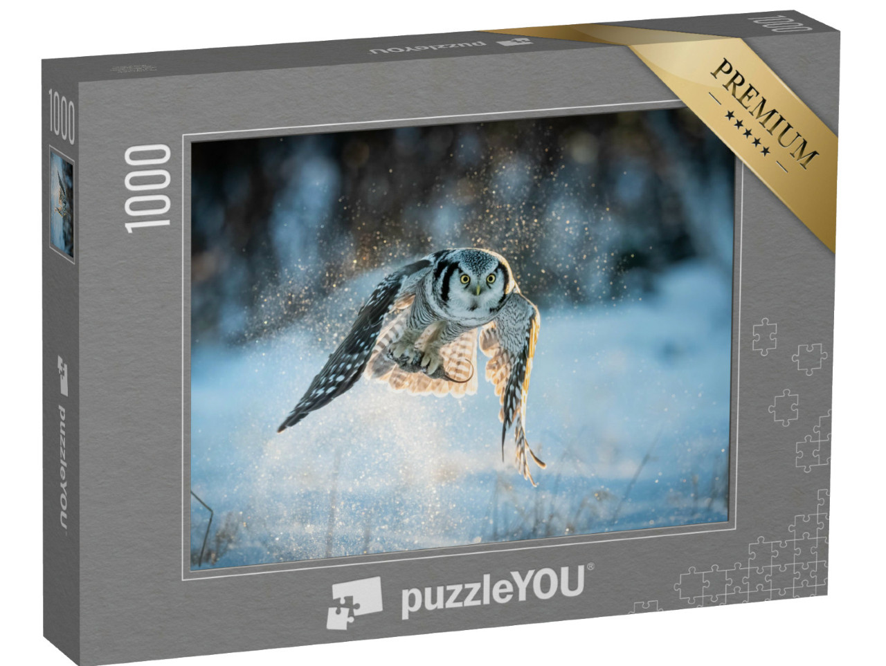 puzzle 1000 dílků „Uralská sova, Surnia ulula, chytá myši“