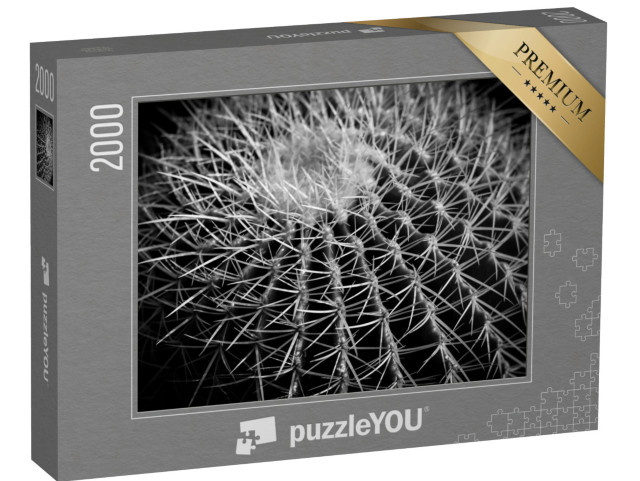 puzzle 2000 dílků „Kaktus v černé a bílé“