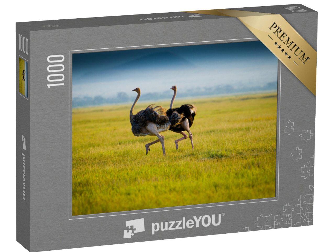 puzzle 1000 dílků „Dva afričtí pštrosi v trávě“