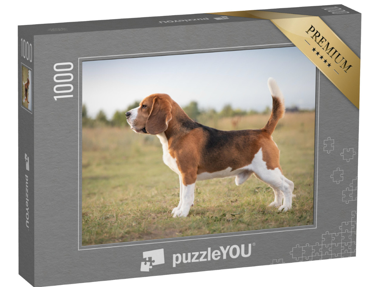 puzzle 1000 dílků „Bígl připravený k lovu“