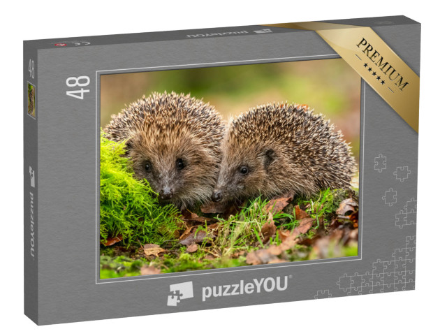 puzzle 48 dílků „Dva ježci se mazlí v mechu a listí“