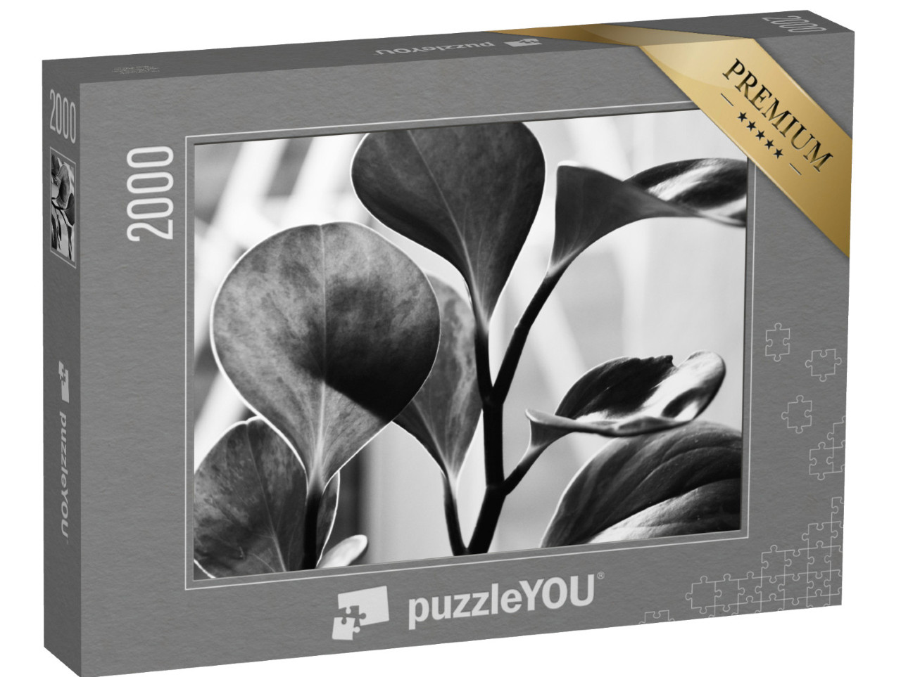 puzzle 2000 dílků „Černobílý záběr zblízka“