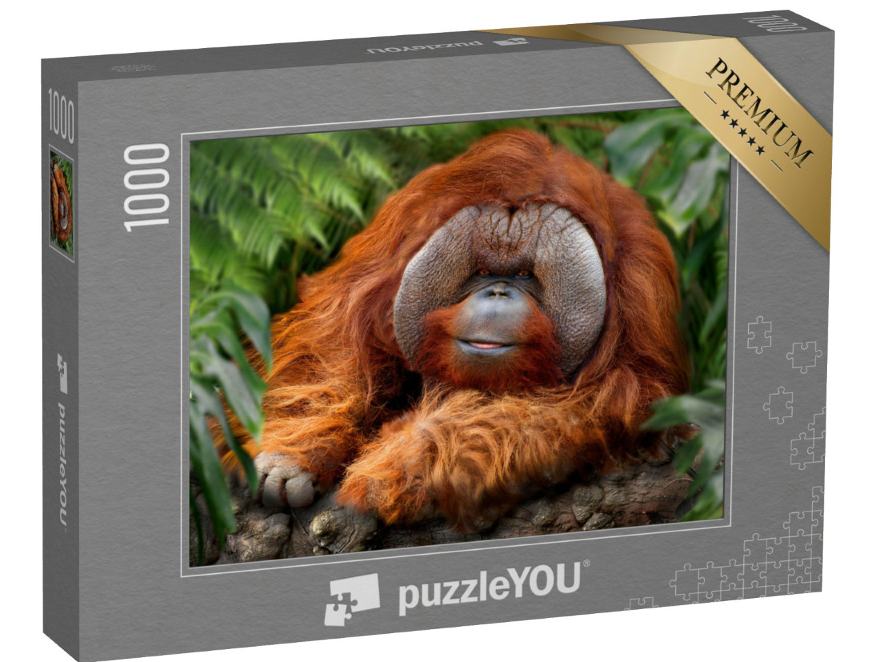 puzzle 1000 dílků „Tropický deštný prales s orangutany“