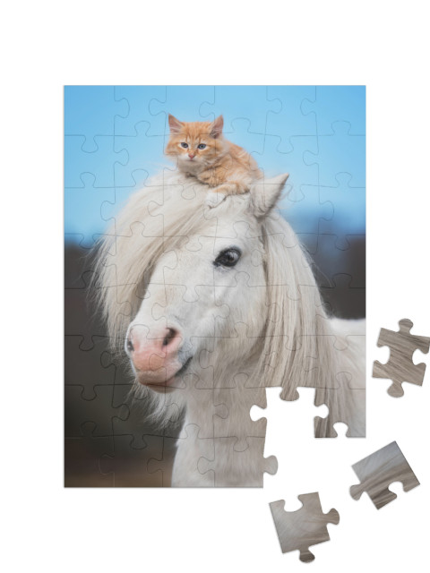 puzzle 48 dílků „Malé červené kotě na hlavě bílého shetlandského poníka“