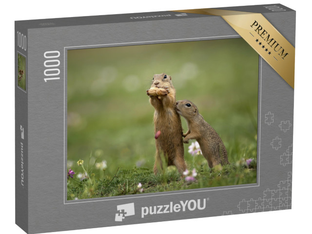 puzzle 1000 dílků „Svišť nedaleko na letní louce s trávou“