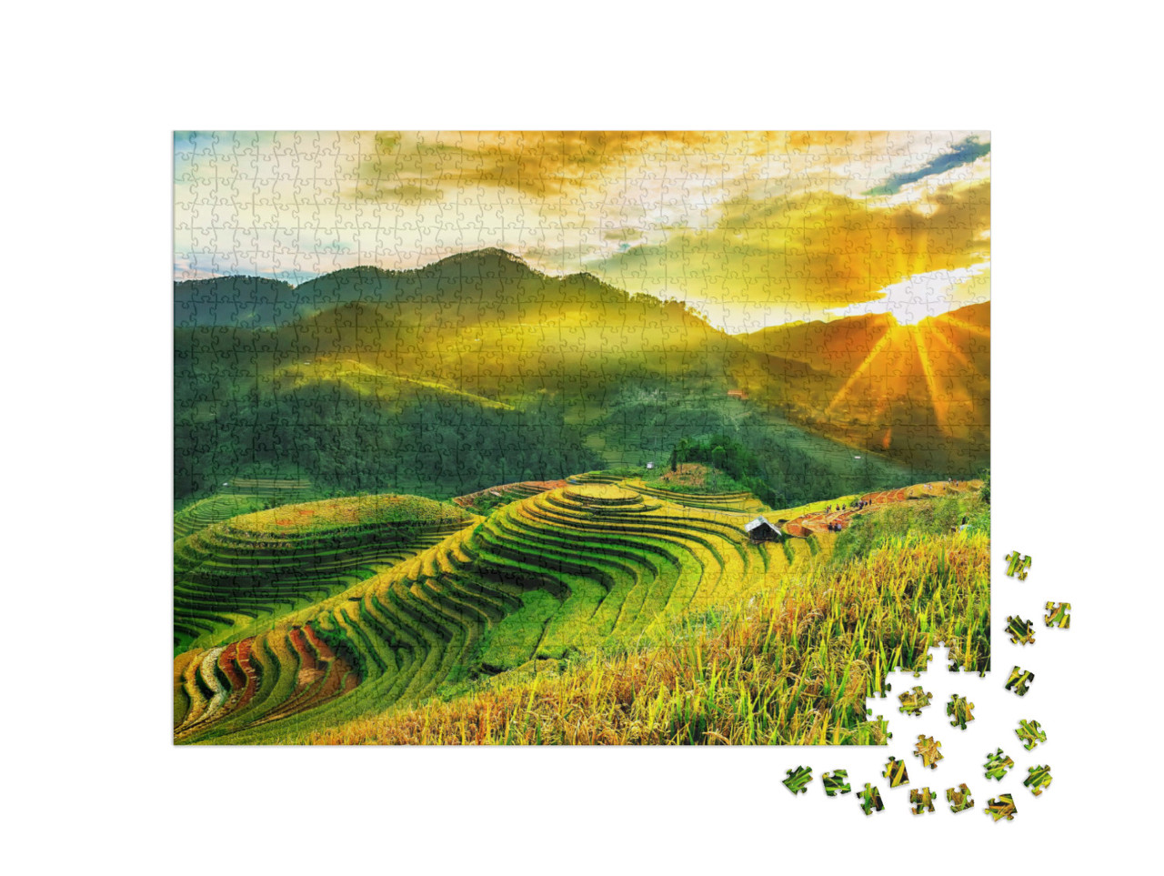 puzzle 1000 dílků „Terasovitá rýžová pole ve Vietnamu“