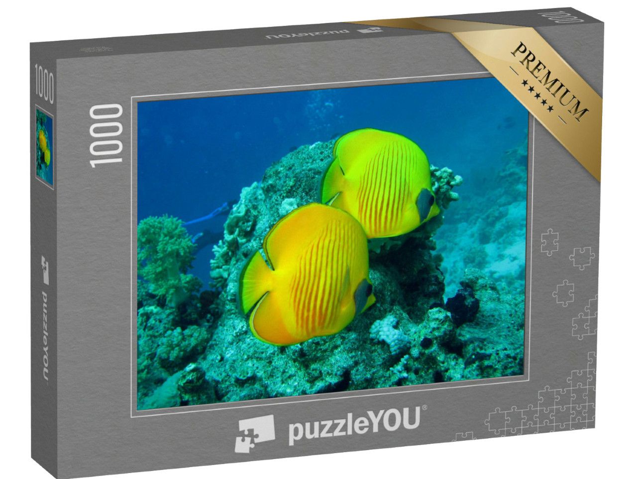 puzzle 1000 dílků „Korálový útes s rybami z Rudého moře v Egyptě“