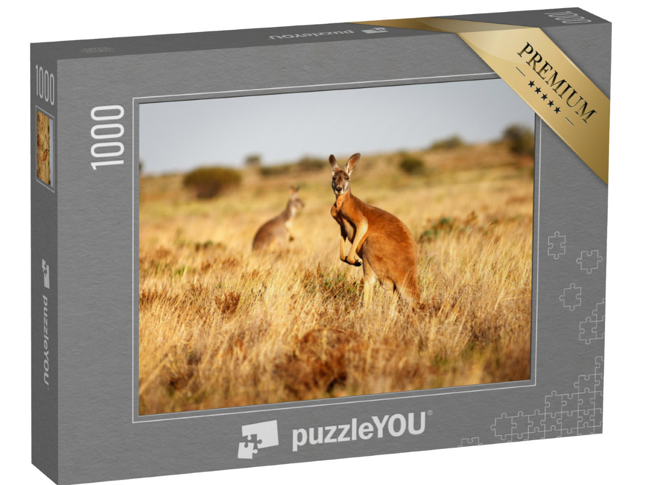 puzzle 1000 dílků „Klokan rudý na pastvinách australského vnitrozemí“