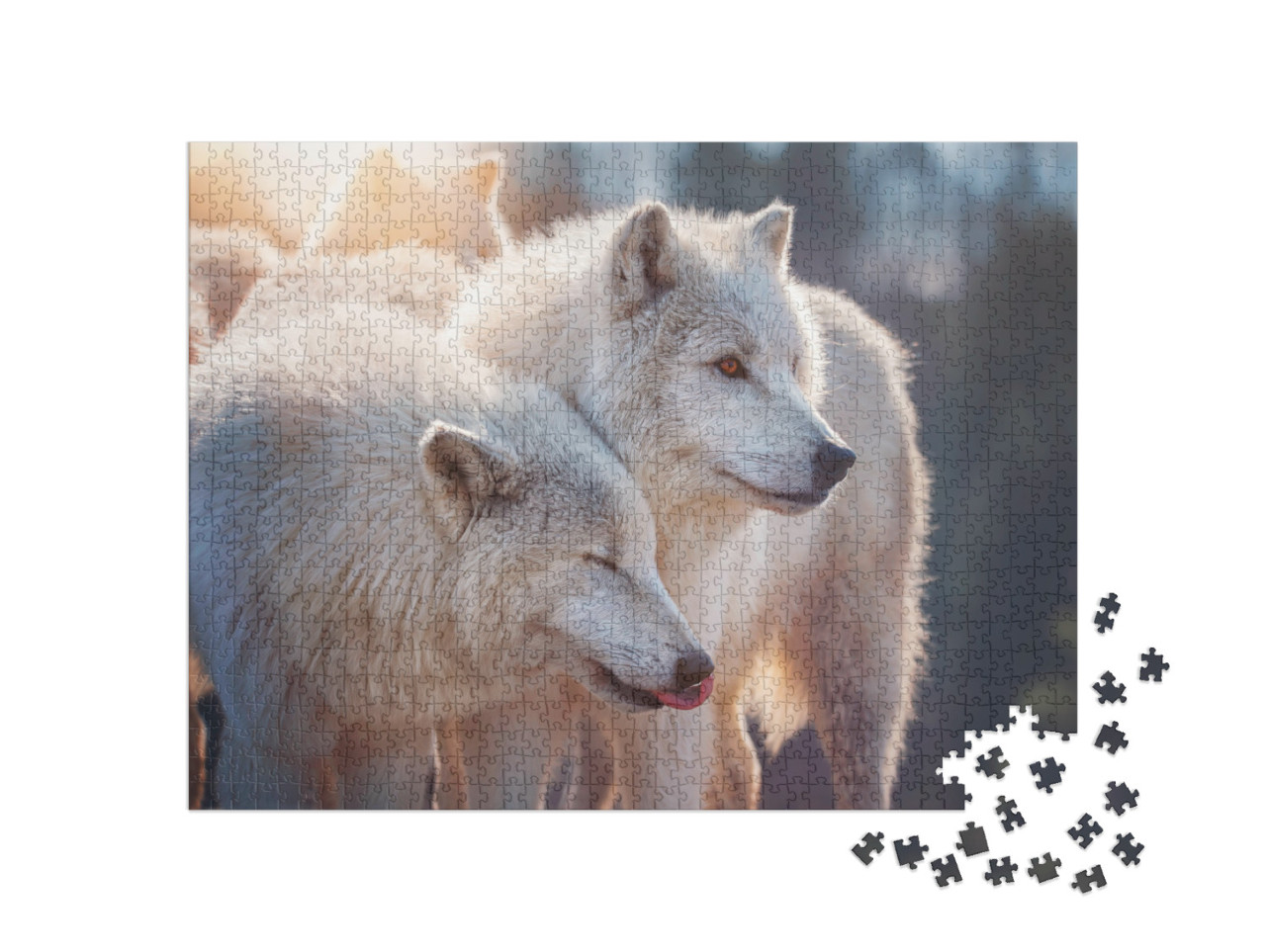 puzzle 1000 dílků „Arktický vlk“