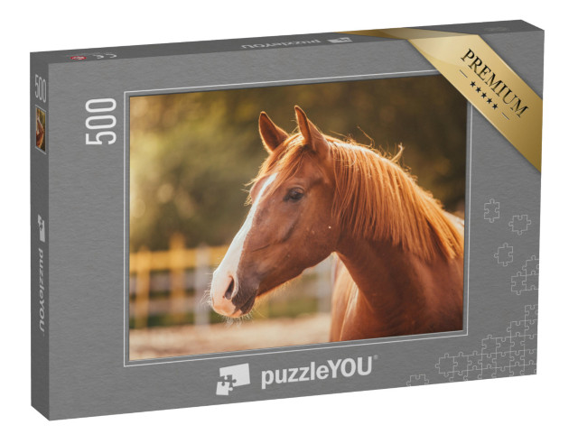 puzzle 500 dílků „Portrét koně ve večerním světle“