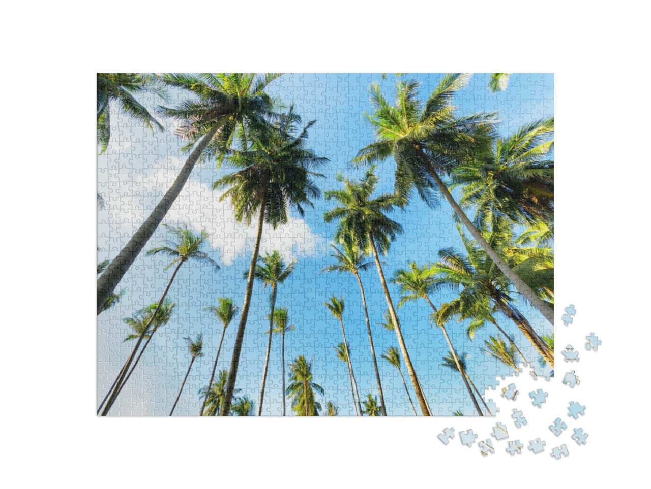 puzzle 1000 dílků „Pohled vzhůru mezi palmy“