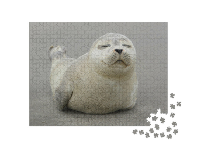 puzzle 1000 dílků „Roztomilé mládě tuleně šedého“