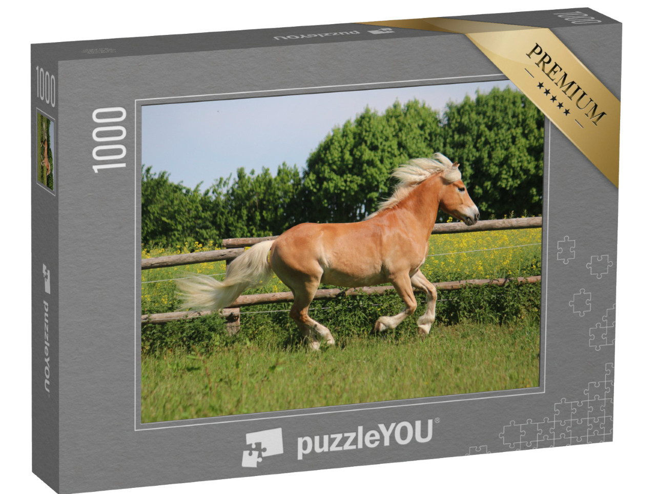 puzzle 1000 dílků „Krásný haflingský kůň ve výběhu“