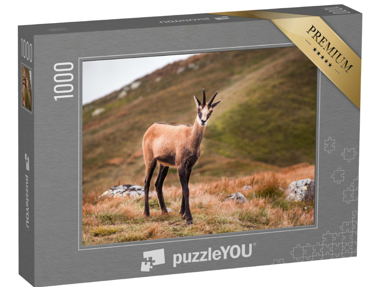 puzzle 1000 dílků „Kamzík v horách, Nízké Tatry, Slovensko“