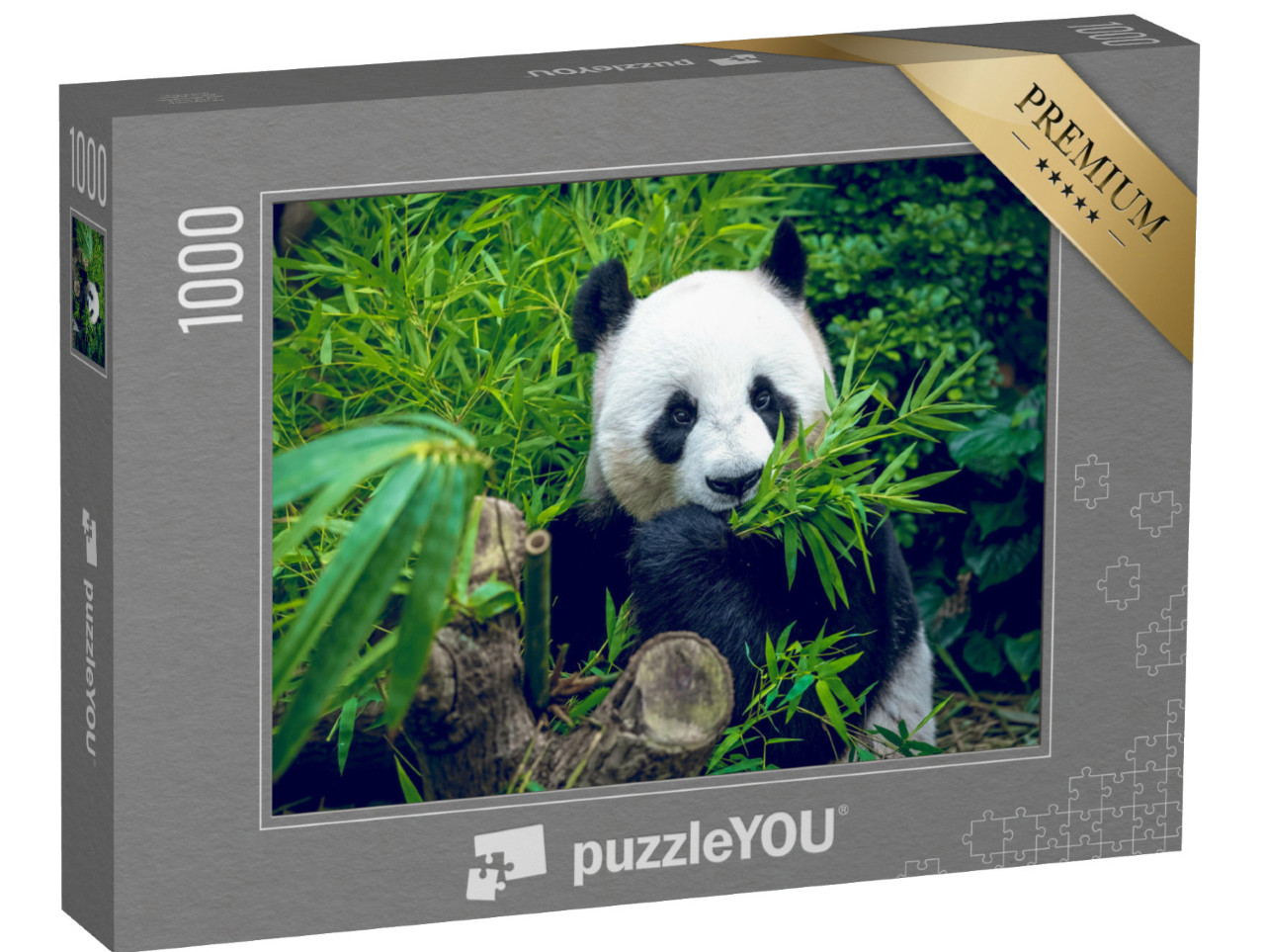 puzzle 1000 dílků „Hladový medvěd panda velká při konzumaci bambusového pokrmu“