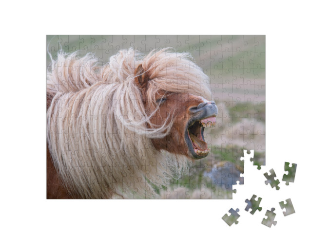 puzzle 200 dílků „Vzdychající shetlandský poník s divokou hřívou“