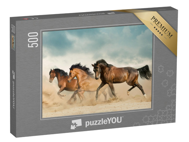 puzzle 500 dílků „Hnědí koně se potulují pouští“