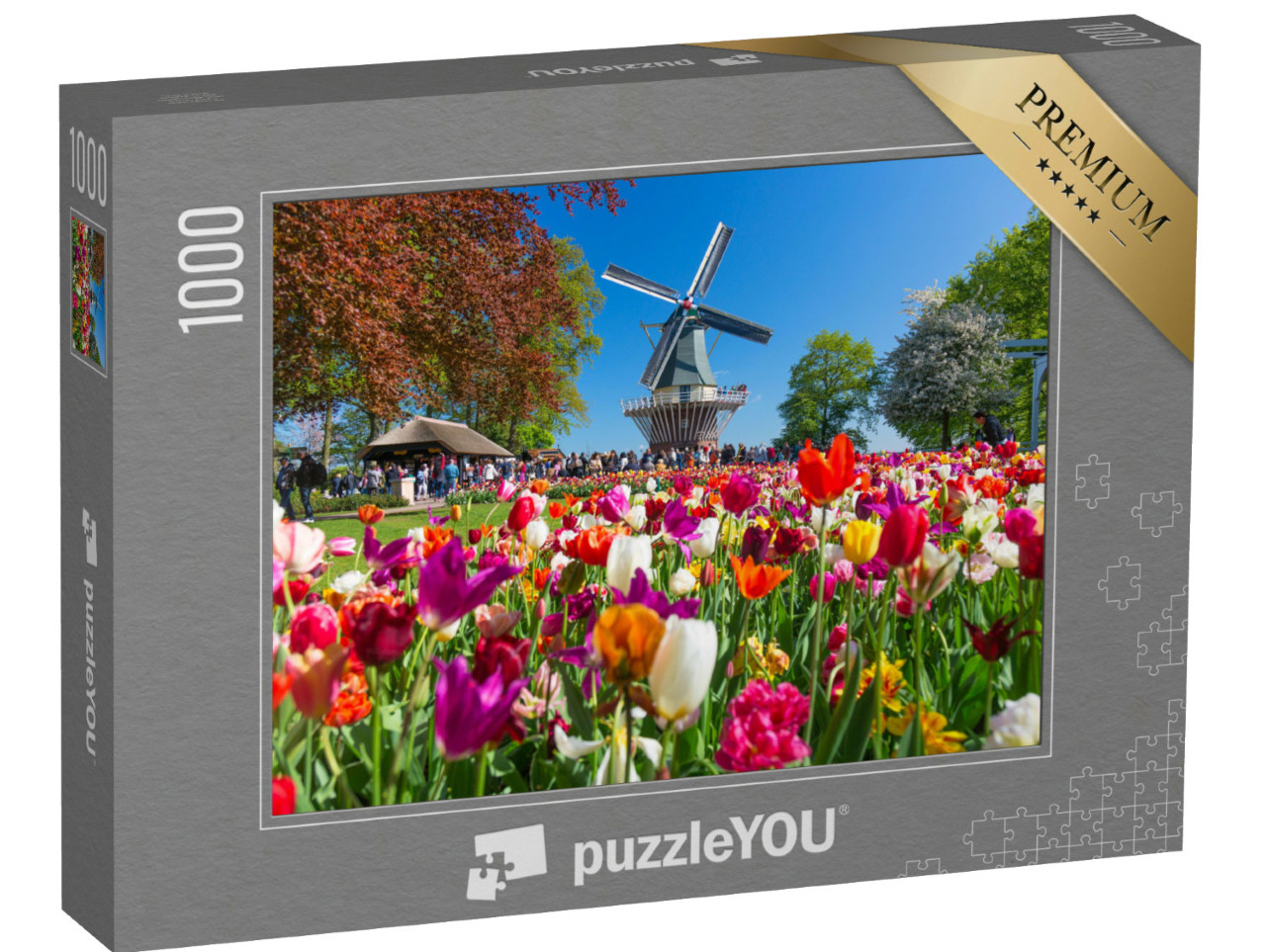 puzzle 1000 dílků „Tulipánová zahrada a větrný mlýn v Lisse, Holandsko“