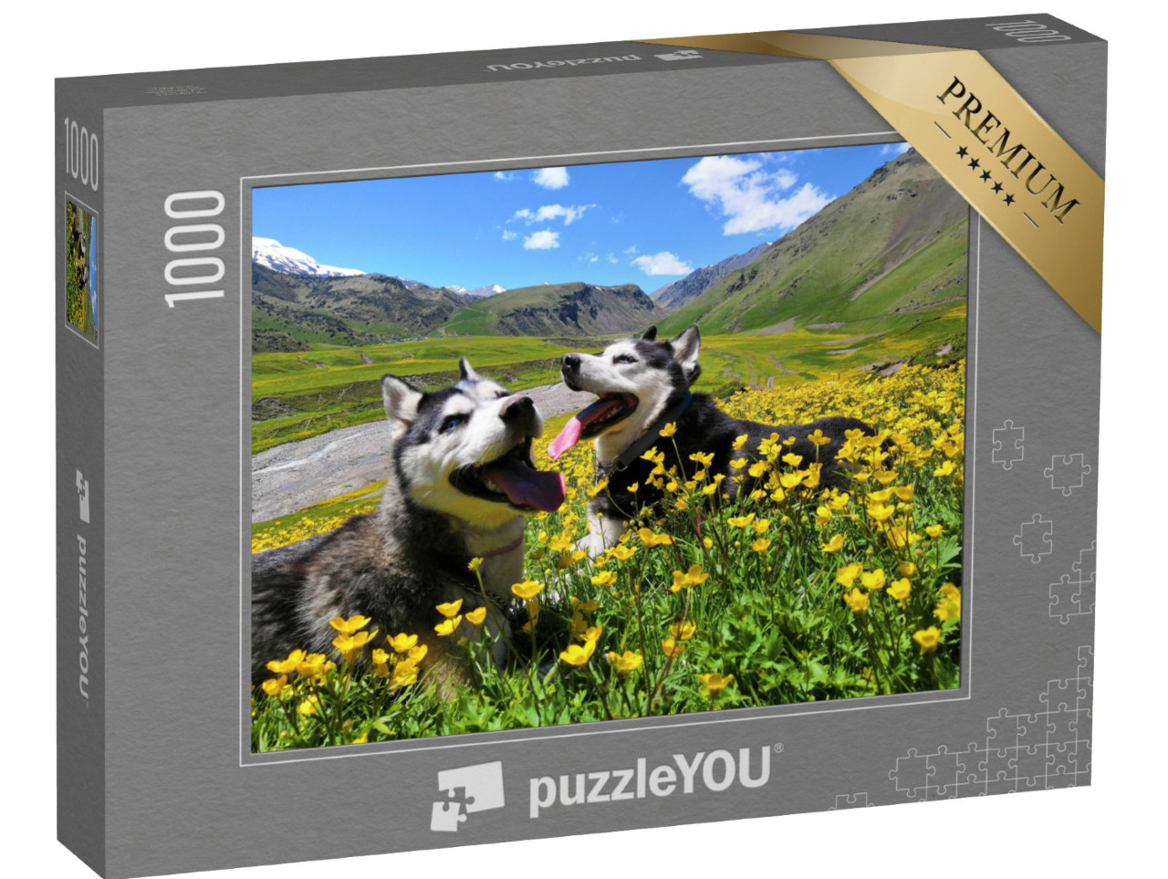 puzzle 1000 dílků „Dva sibiřští huskyové v horách Kavkazu“