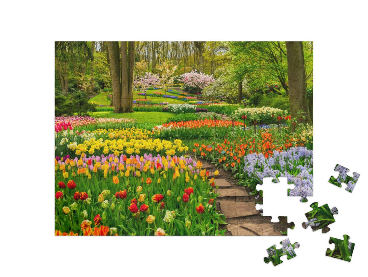 puzzle 100 dílků „Barevná tulipánová zahrada pod stromy“