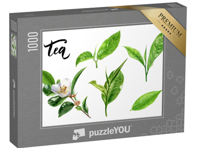 puzzle 1000 dílků „Akvarelová ilustrace čajových lístků izolovaná na bílém pozadí...“