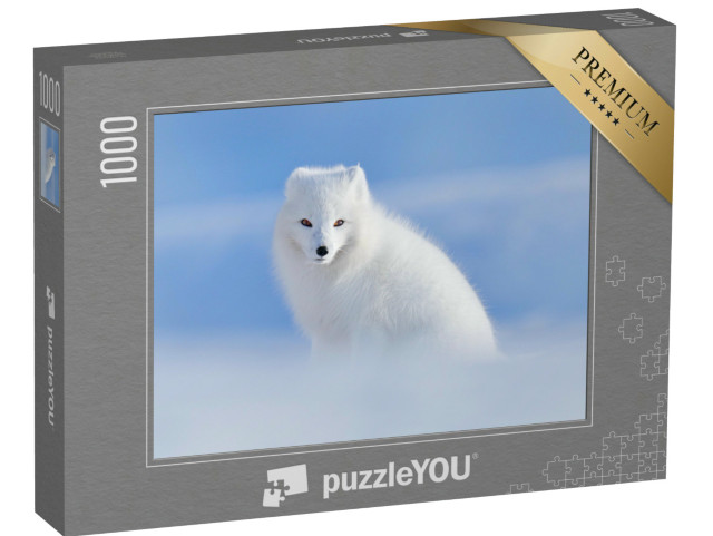 puzzle 1000 dílků „Bílá liška polární ve svém přirozeném prostředí, Špicberky, Norsko“