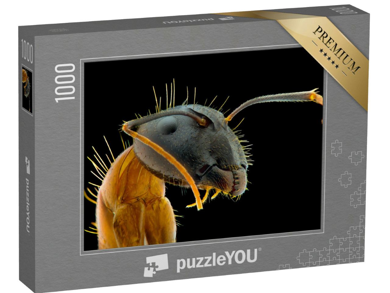 puzzle 1000 dílků „Detailní záběr mravenčího obličeje“