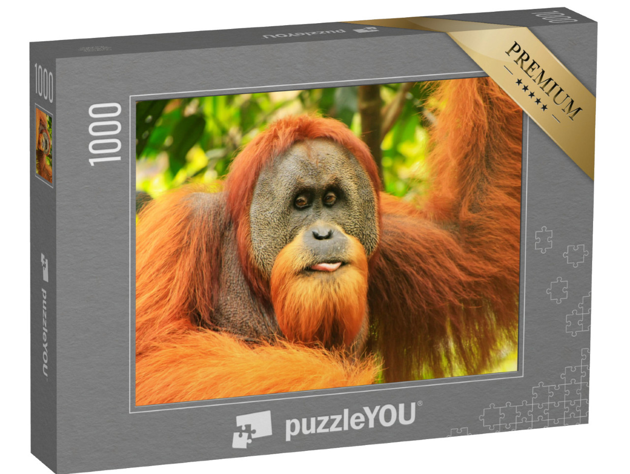 puzzle 1000 dílků „Portrét samce orangutana sumaterského“