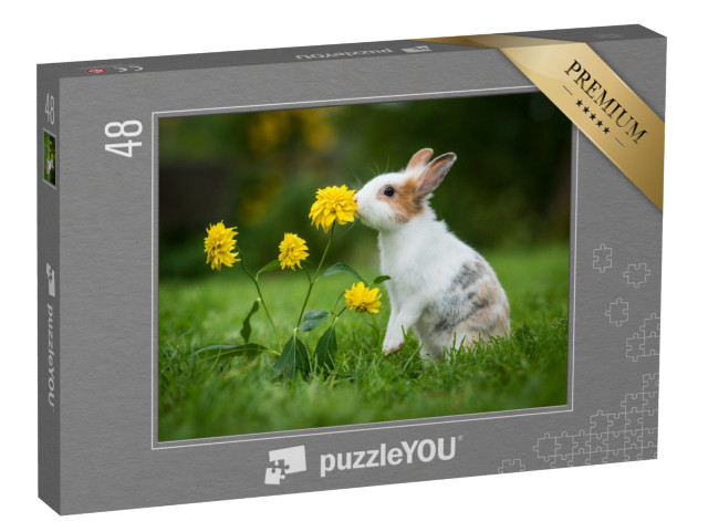 puzzle 48 dílků „Malý zvědavý králík“