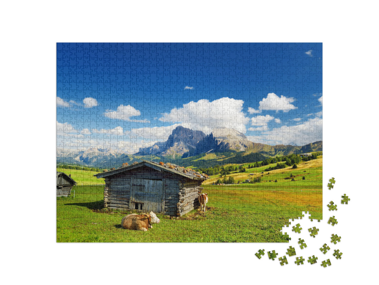 puzzle 1000 dílků „Krávy na Seiser Alm, Jižní Tyrolsko“