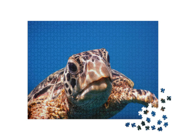 puzzle 1000 dílků „Zelená mořská želva na ostrově Savaii“