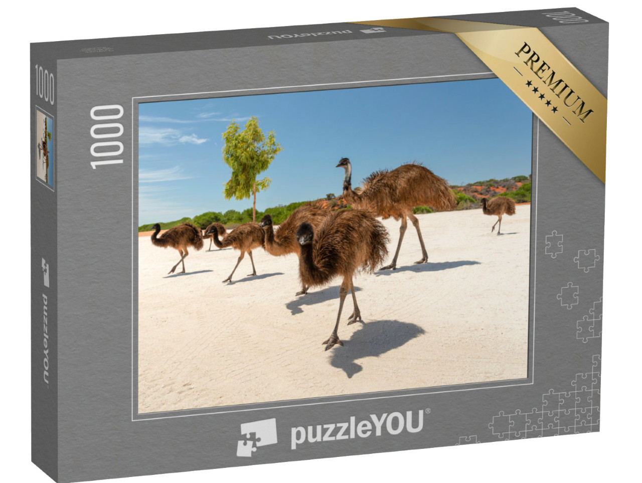 puzzle 1000 dílků „Rodina emu v zátoce Shark Bay, Národní park Francois Peron, Monkey Mia“