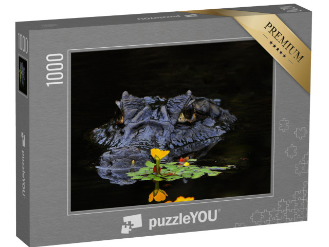 puzzle 1000 dílků „Kajmani jsou krokodýli“