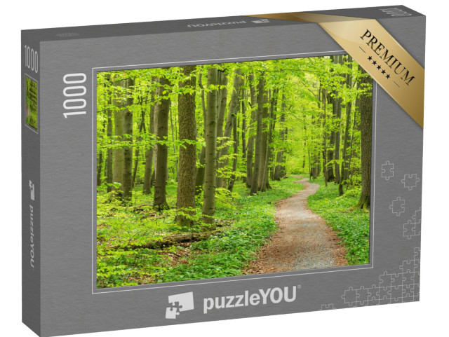puzzle 1000 dílků „Turistická stezka bukovým lesem na jaře, Národní park Hainich“