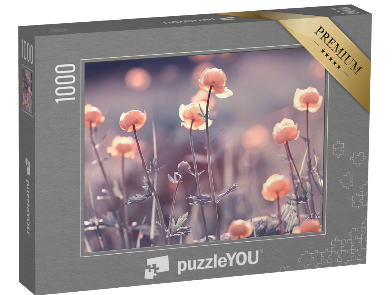 puzzle 1000 dílků „Krásné křehké květy při východu slunce“