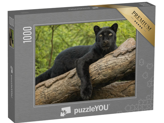 puzzle 1000 dílků „Černý panter na kmeni stromu“