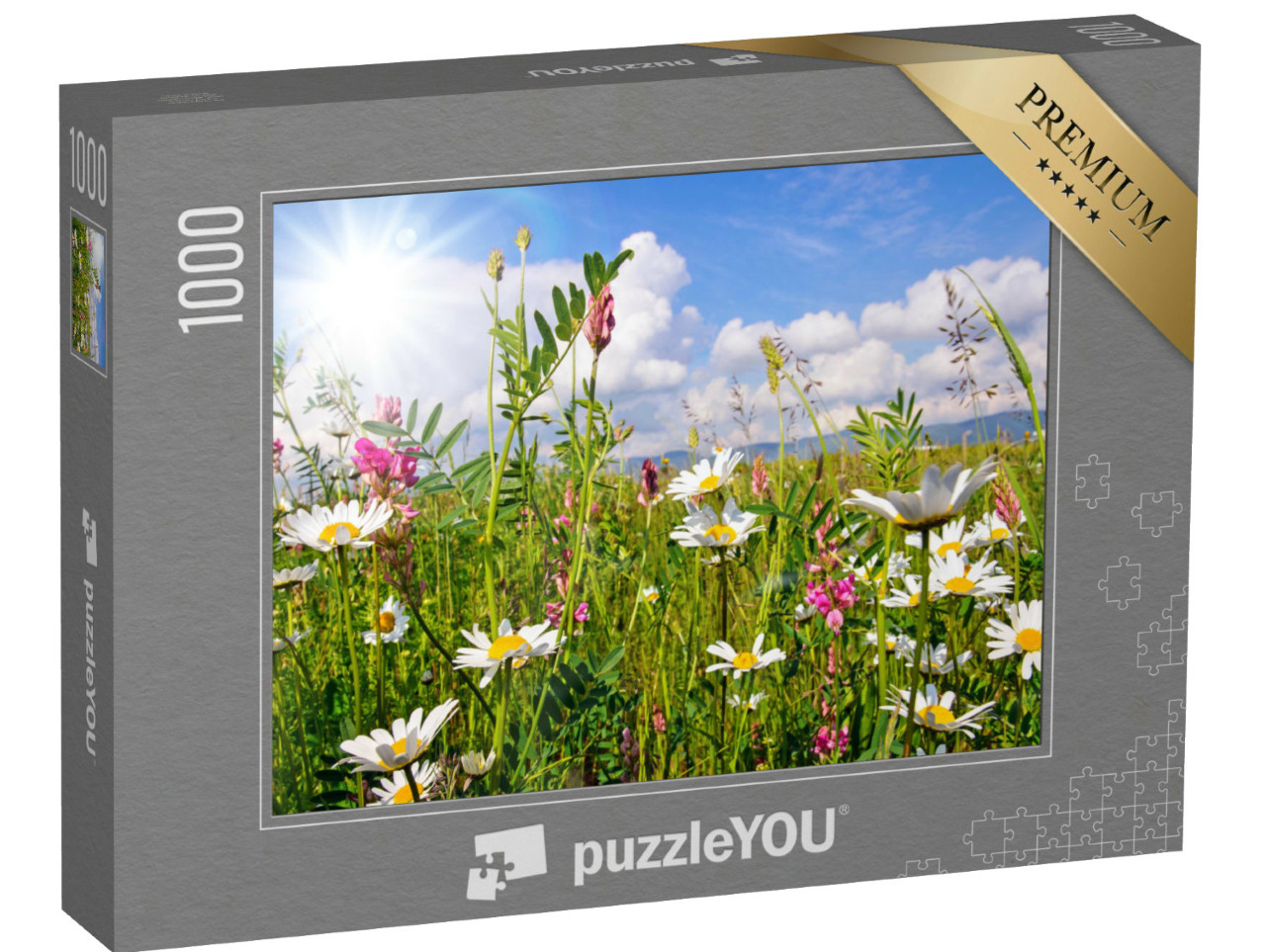 puzzle 1000 dílků „Květnatá louka v létě s kopretinami“
