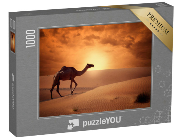 puzzle 1000 dílků „Velbloudí přechod pouští při východu slunce“