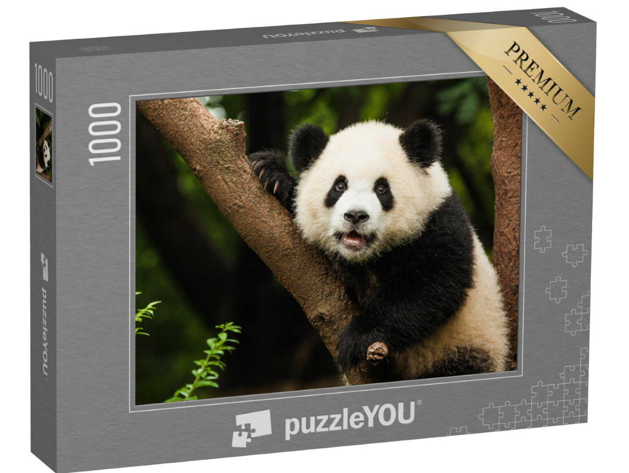 puzzle 1000 dílků „Panda ve svém přirozeném prostředí“