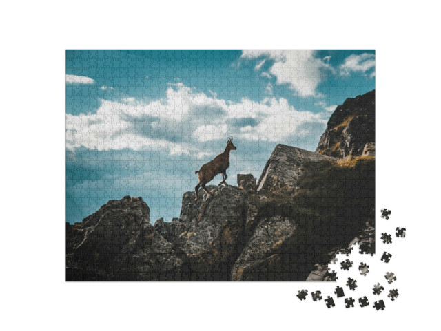 puzzle 1000 dílků „Mladý kamzík v italských Alpách“