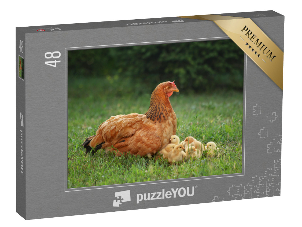 puzzle 48 dílků „Slepice s kuřátky na zelené louce“