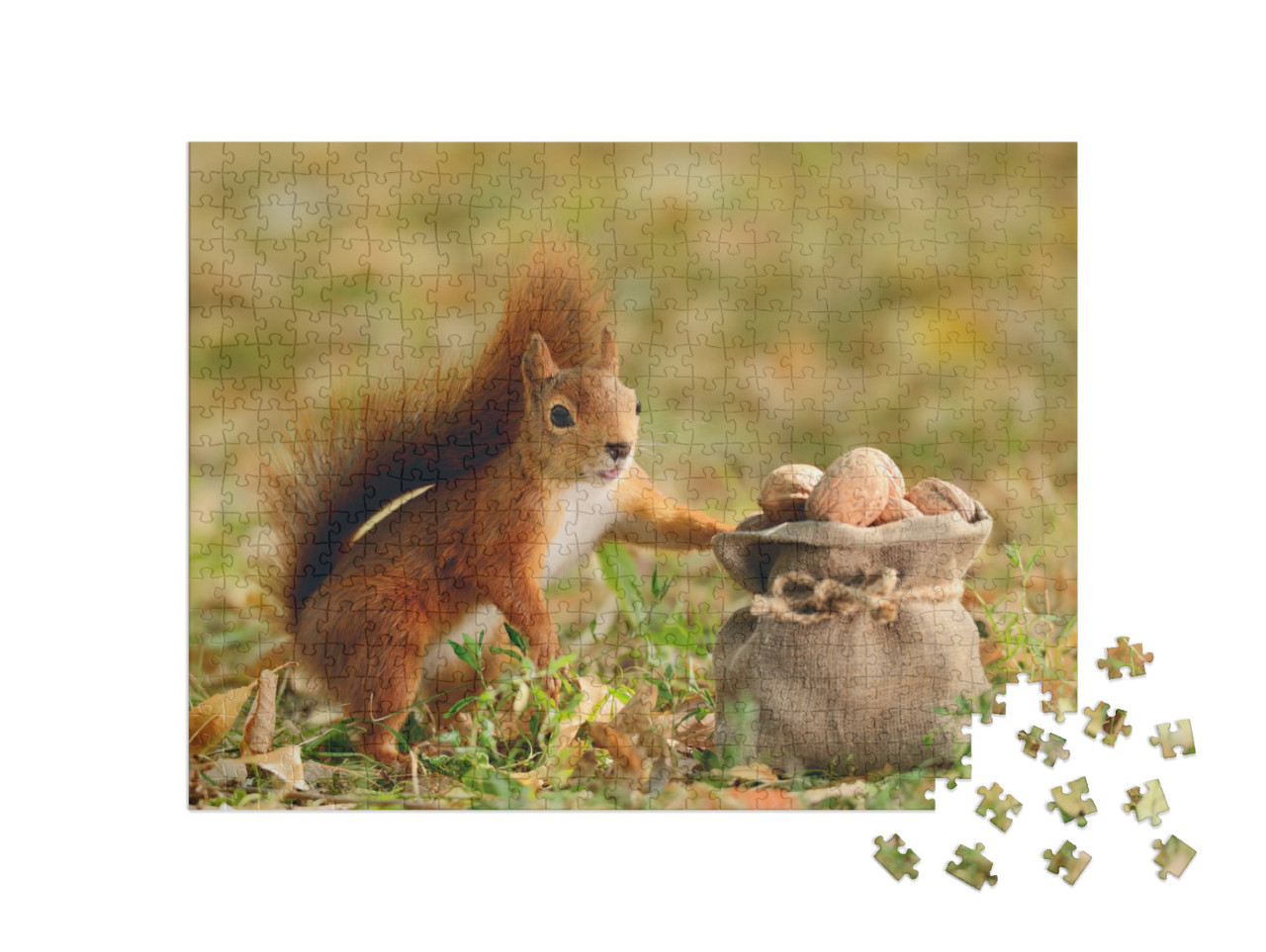 puzzle 500 dílků „Portrét veverky červené, která drží pytel ořechů“
