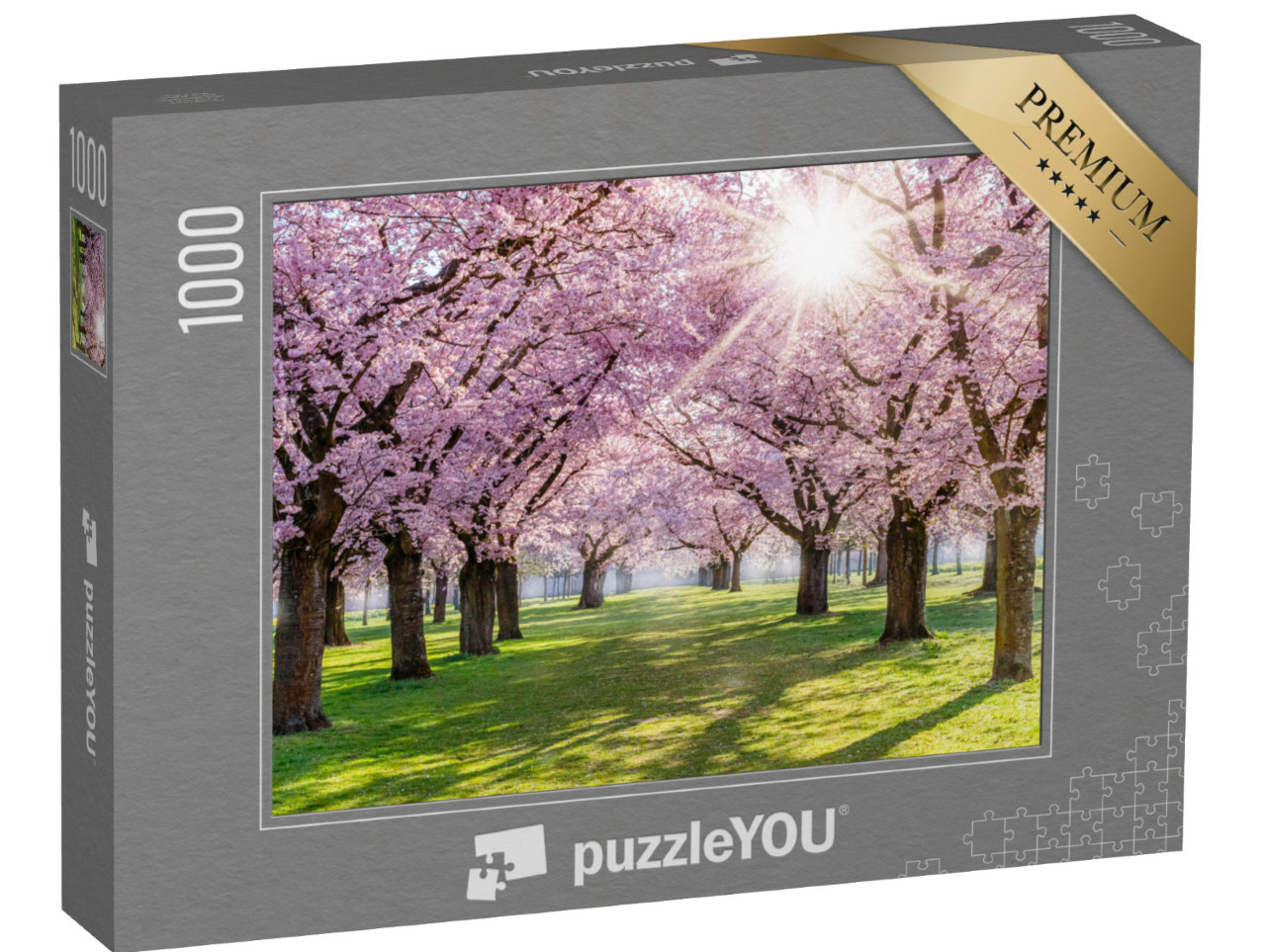 puzzle 1000 dílků „Třešňové květy a sluneční světlo v parku, Německo“