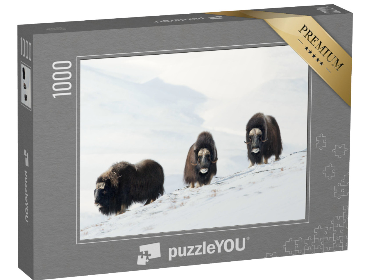 puzzle 1000 dílků „Tři pižmoni v zasněžených horách Dovrefjell, Norsko“