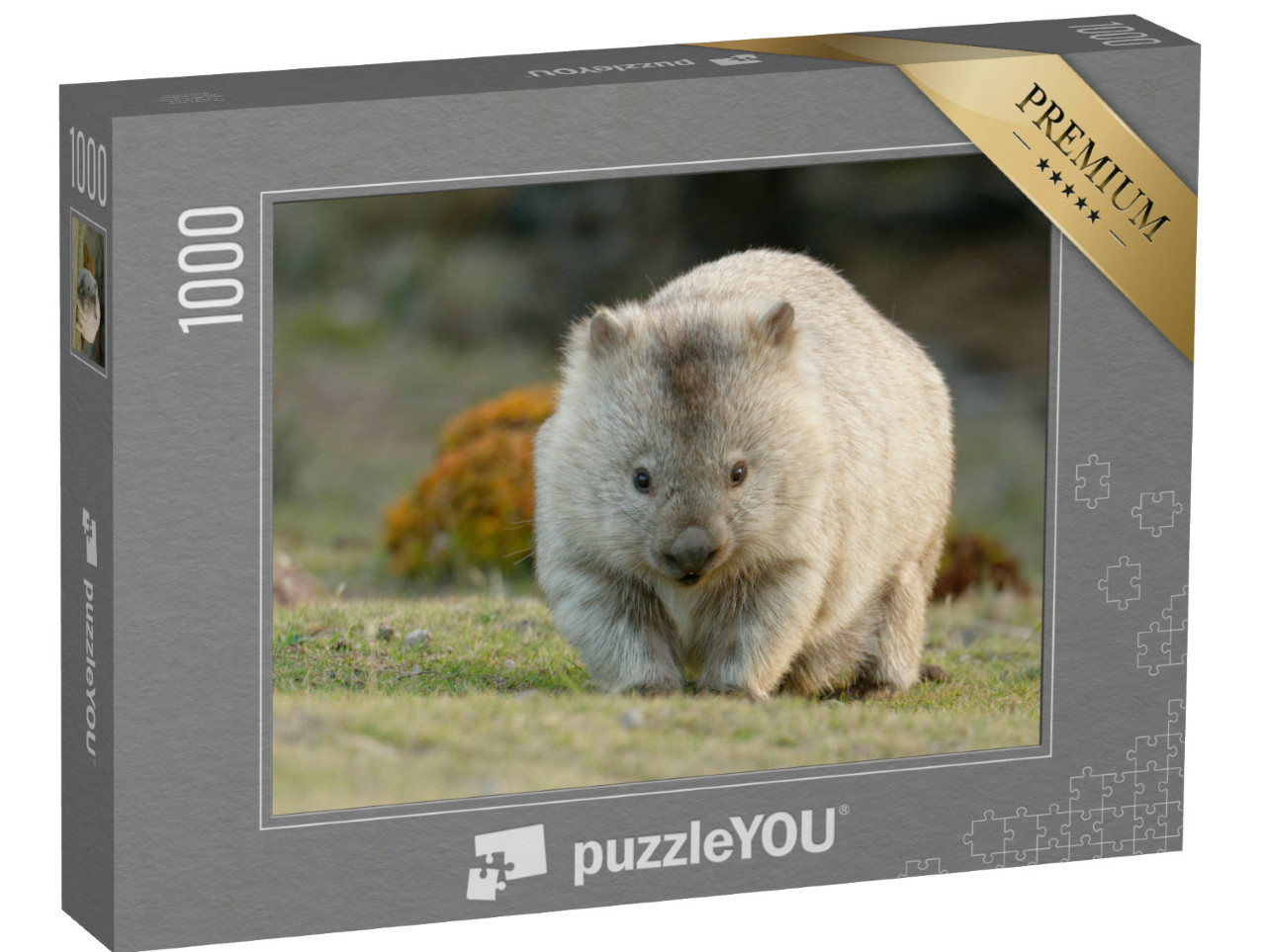 puzzle 1000 dílků „Vombat australský, známý také jako medvěd hrubosrstý nebo nahonosý“