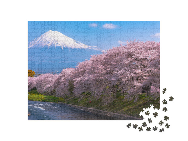 puzzle 1000 dílků „Třešňový květ na hoře Fudži, Japonsko“