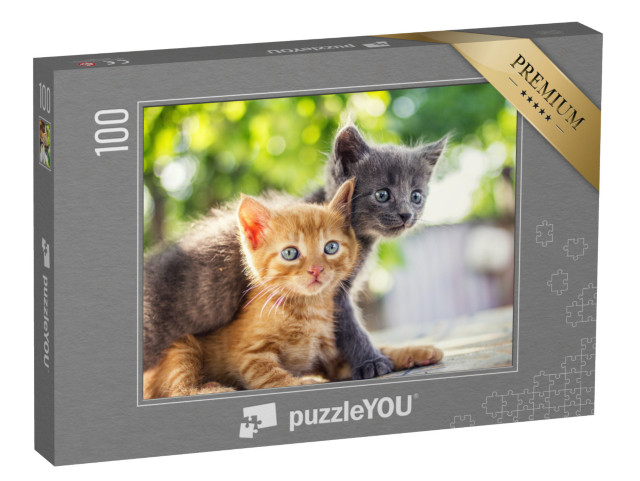 puzzle 100 dílků „Dvě rozkošná koťata si hrají“