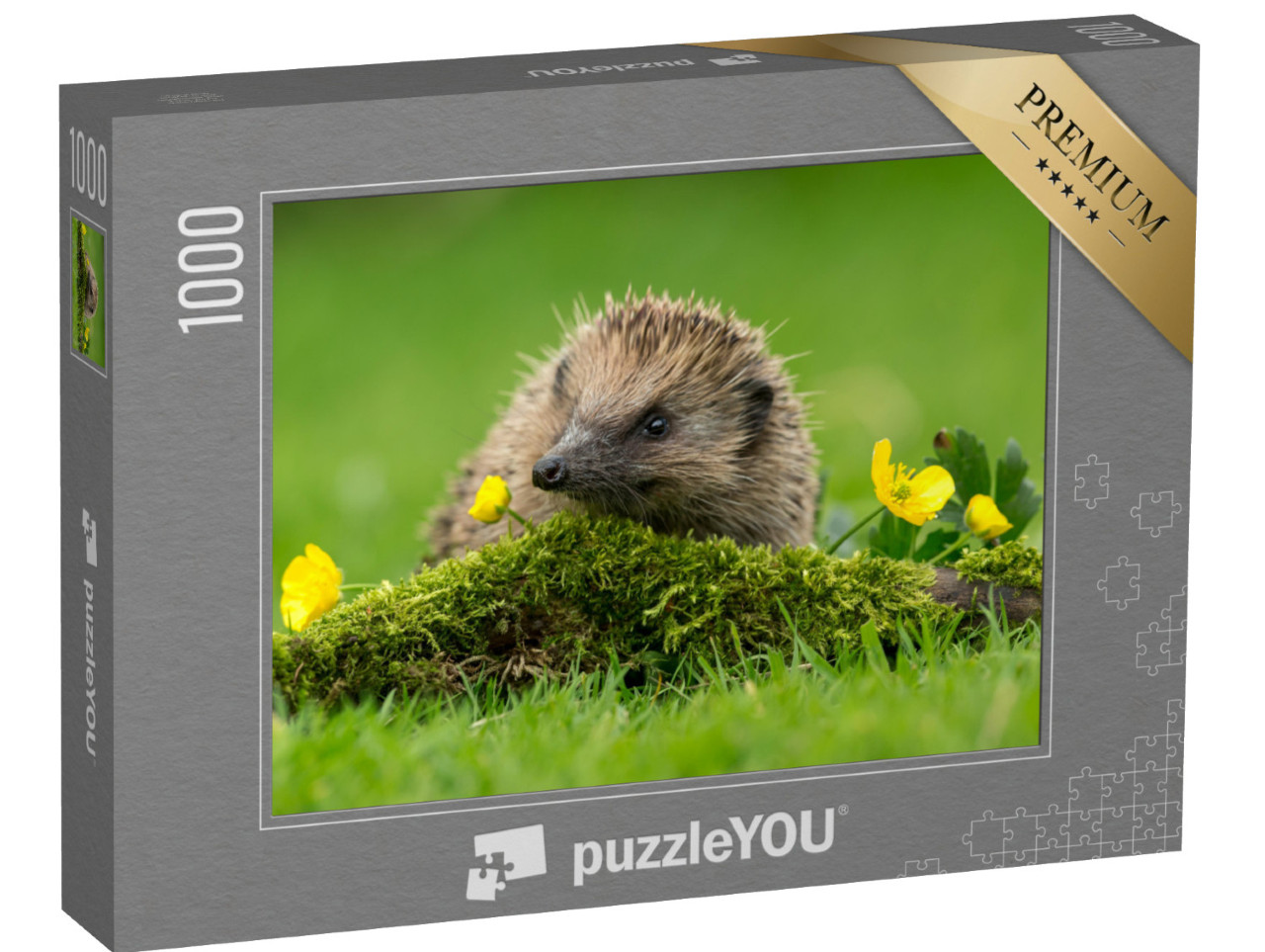 puzzle 1000 dílků „Malý ježek na kopci ze zeleného mechu“