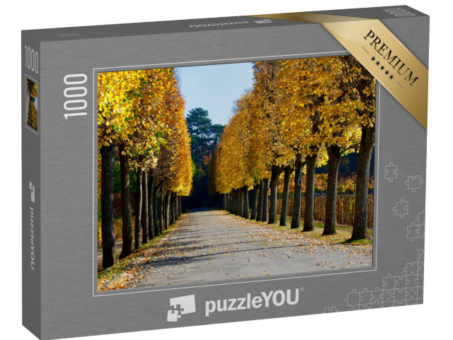 puzzle 1000 dílků „Podzimní pohled na uličku v Ermitáži Bayreuth, Německo“